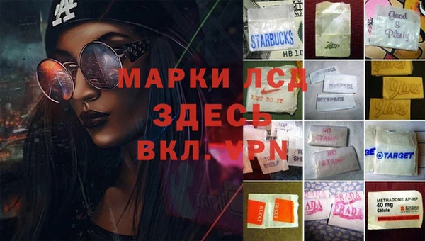 амф Кукмор