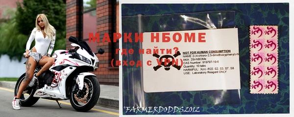 амф Кукмор