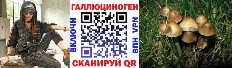 Псилоцибиновые грибы Psilocybine cubensis  Купить закладки  Знаменск 