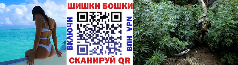 Купить  Знаменск  Бошки марихуана гибрид 
